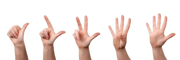 Mano Mostrando Número Cinco Aislado Sobre Fondo Blanco — Foto de Stock