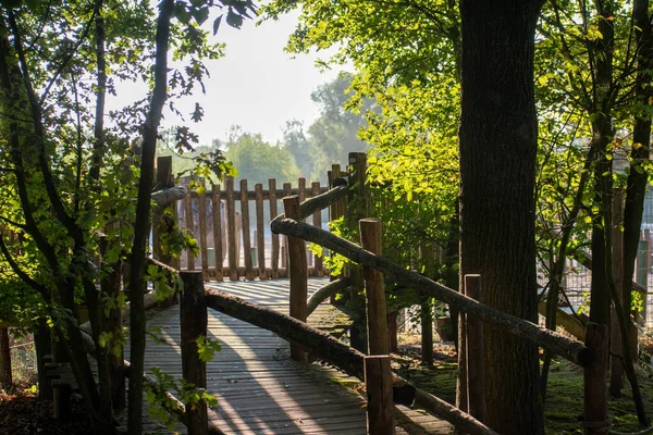 Holzbrücke Park — Stockfoto