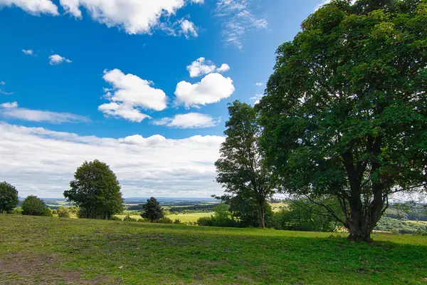 Krásná Krajina Stromy Modrá Obloha — Stock fotografie