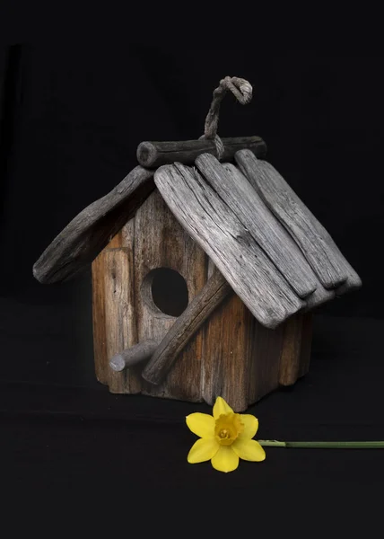 Ξύλινο Σπίτι Πουλιών Ένα Πουλί Μαύρο Φόντο — Φωτογραφία Αρχείου