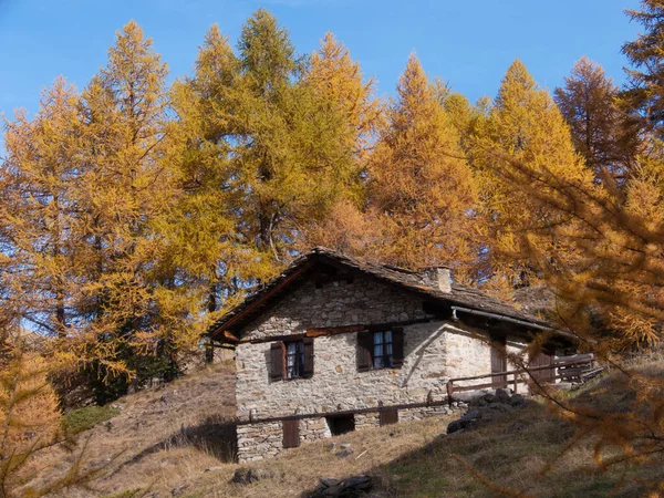 Осінній Пейзаж Дерев Яним Будинком Горах — стокове фото