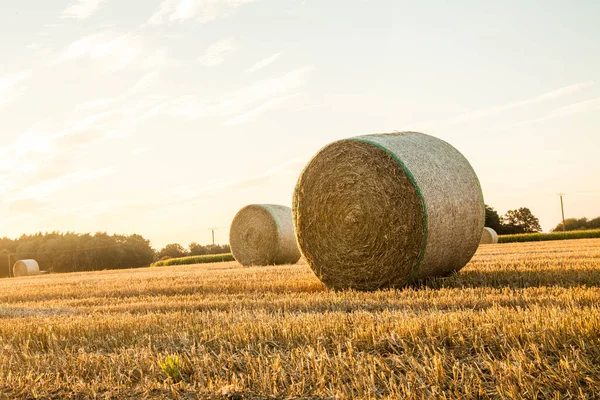 Hooibalen Een Veld Zomer — Stockfoto