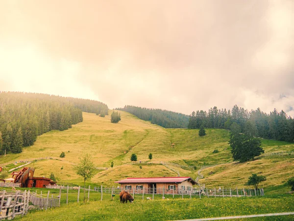 Prachtig Landschap Met Bergen Groen Gras — Stockfoto