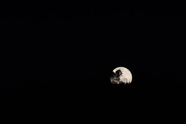 Lua Céu Noturno — Fotografia de Stock