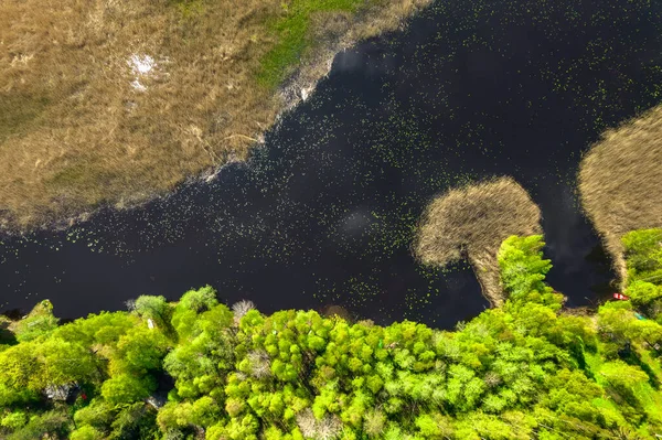 Widok Powietrza Rzekę Lesie — Zdjęcie stockowe