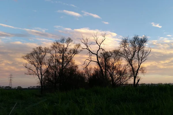 Bellissimo Tramonto Nel Campo — Foto Stock