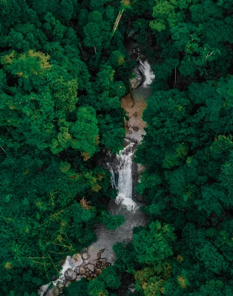 Letecký Pohled Les Horské Řeky — Stock fotografie