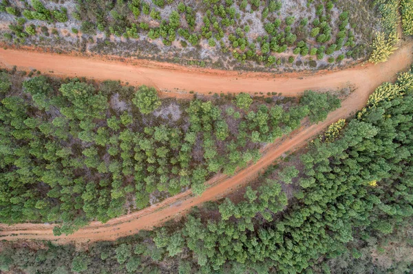 Αεροφωτογραφία Του Δρόμου Στο Δάσος — Φωτογραφία Αρχείου