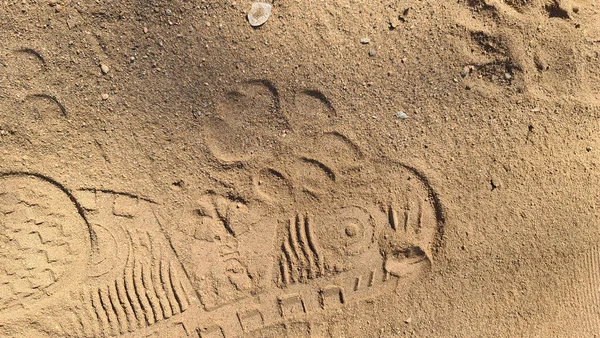 Footprints Sand — Stock Photo, Image