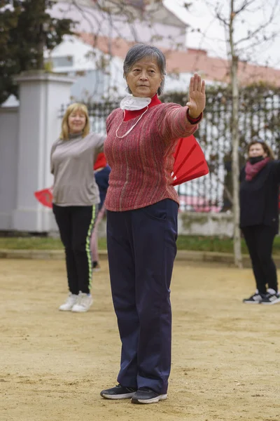 Personas Mayores Que Hacen Ejercicio Aire Libre —  Fotos de Stock