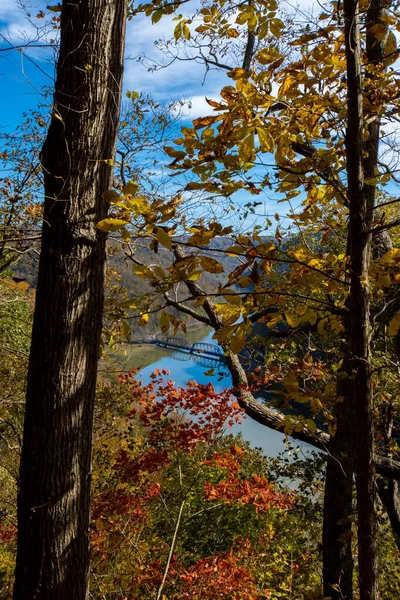 Jesienny Krajobraz Kolorowymi Drzewami Błękitnym Niebem — Zdjęcie stockowe