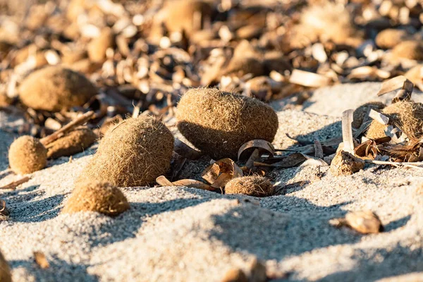 Крупним Планом Знімок Купи Каменів Пляжі — стокове фото
