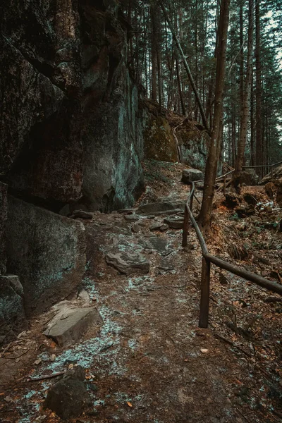 Une Belle Vue Sur Une Forêt Dans Les Montagnes — Photo