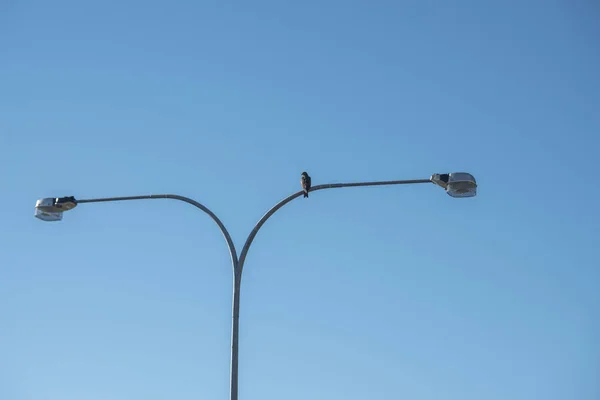 Уличная Лампа Фоне Голубого Неба — стоковое фото