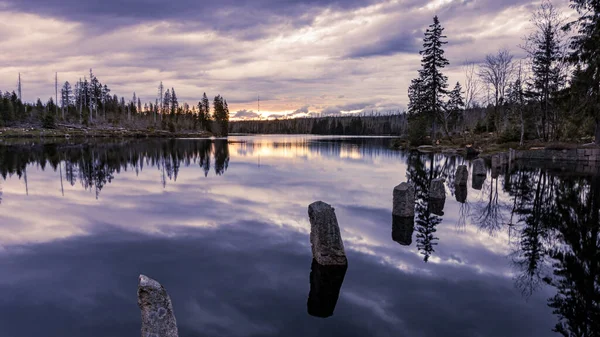 Όμορφο Τοπίο Λίμνη Και Δάσος — Φωτογραφία Αρχείου