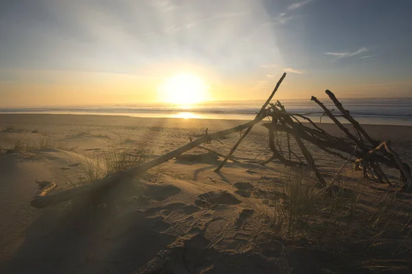 Solnedgang Havet - Stock-foto