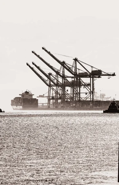 Frachtschiff Hafen Der Ostsee — Stockfoto