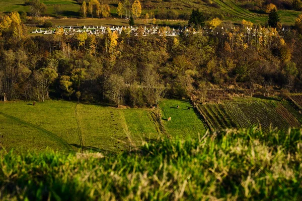 Wunderschöne Landschaft Des Tals Der Langhe Italien — Stockfoto