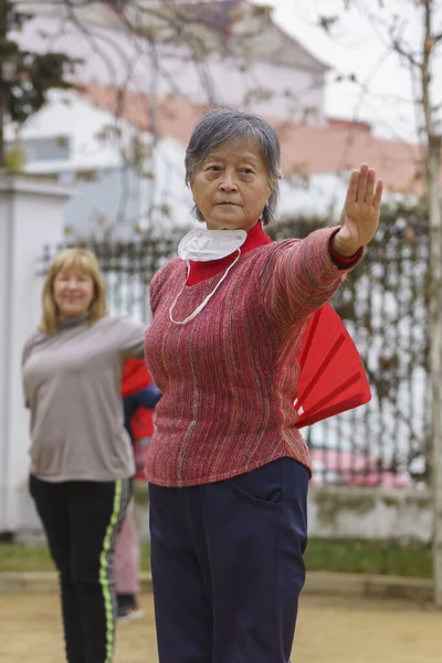 Seniors Faisant Exercice Extérieur — Photo