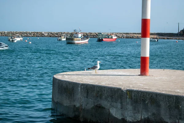 Gabbiano Sul Molo Nel Porto Del Mar Mediterraneo Nel Nord — Foto Stock