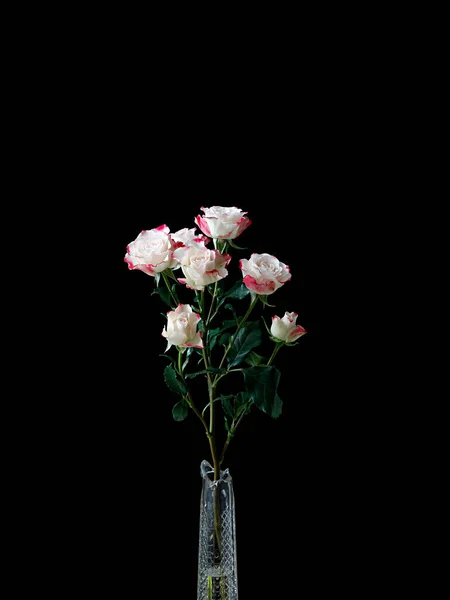 Gyönyörű Csokor Virág Fekete Háttér — Stock Fotó