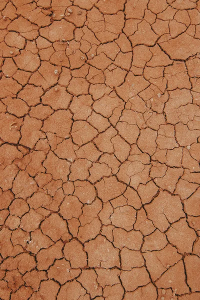 Cracked Earth Dry Soil Texture — Stock Photo, Image