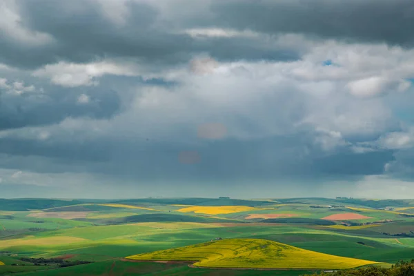 Gyönyörű Táj Zöld Fűvel Felhős Égbolttal — Stock Fotó