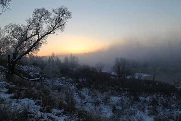 Beau Paysage Hivernal Avec Des Arbres Enneigés — Photo