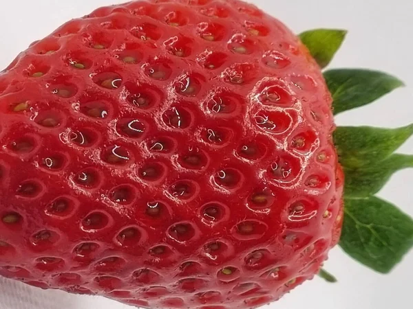 Fresas Frescas Maduras Sobre Fondo Blanco — Foto de Stock