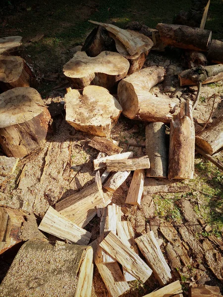 Een Stapel Brandhout Het Bos — Stockfoto