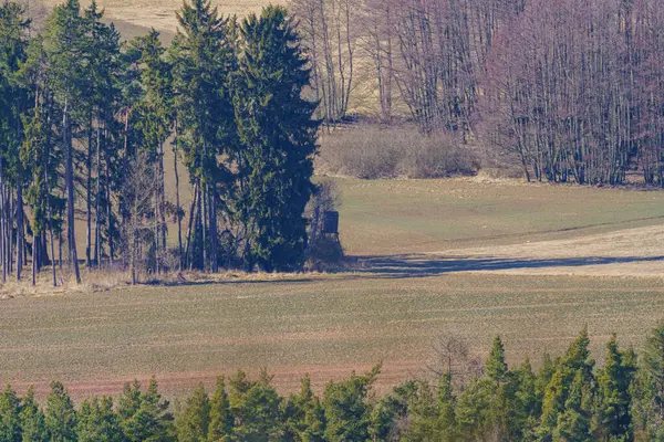 Schöne Landschaft Mit Einem Fluss Wald — Stockfoto