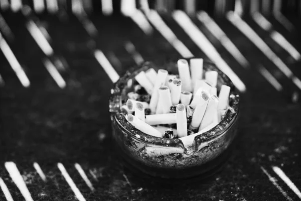 Cigarettacsikkek Hamutartóban — Stock Fotó