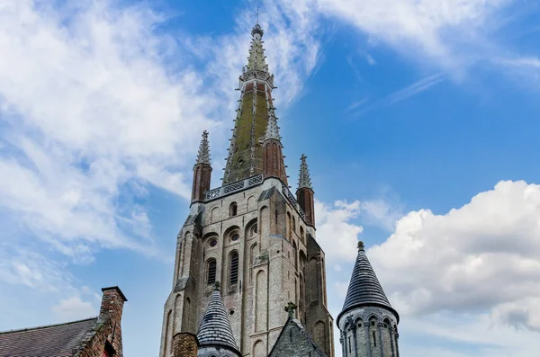 Malebný Pohled Krásnou Architekturu Katedrály — Stock fotografie