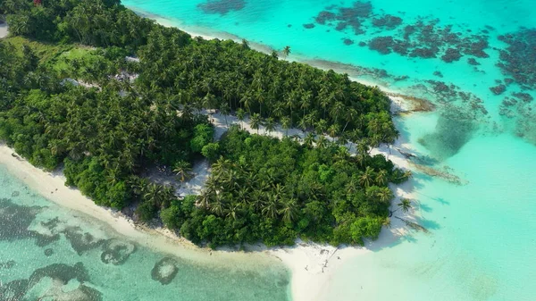 Вид Повітря Тропічний Пляж Пальмами Блакитним Небом — стокове фото