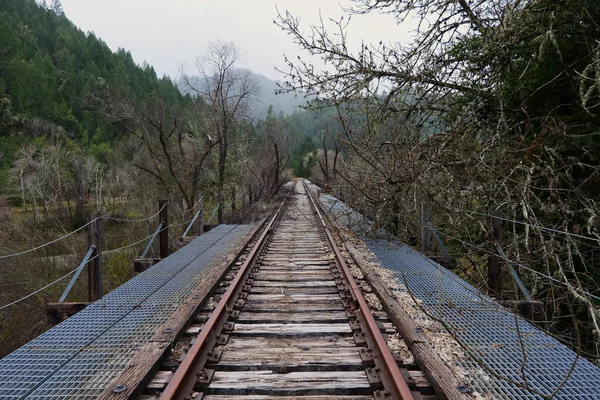 Trilhos Ferroviários Floresta — Fotografia de Stock