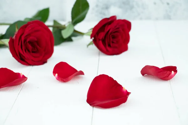 Czerwone Róże Białym Tle Drewnianych — Zdjęcie stockowe
