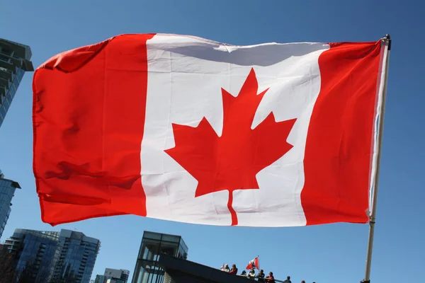 Kanada Zászló Szélben — Stock Fotó