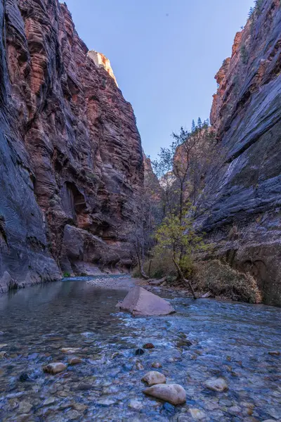 Gyönyörű Táj Völgyben Grand Canyon Északi Részén Izrael Állam — Stock Fotó