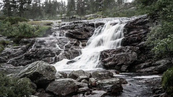 Wasserfall Wald — Stockfoto