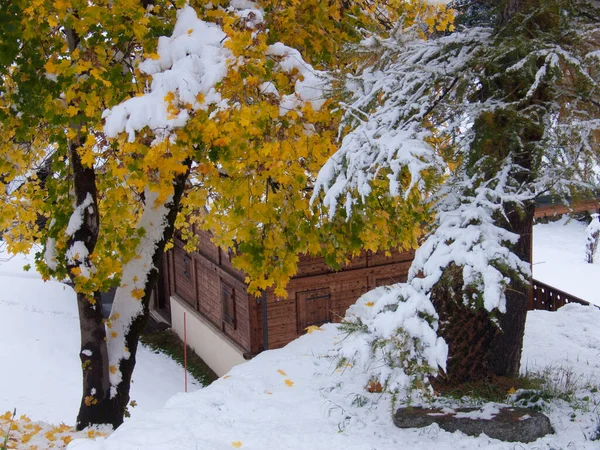 Όμορφο Χειμερινό Τοπίο Χιόνι Και Δέντρα — Φωτογραφία Αρχείου