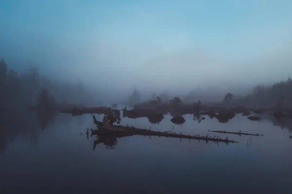 Berkabut Pagi Hari Dalam Kabut — Stok Foto