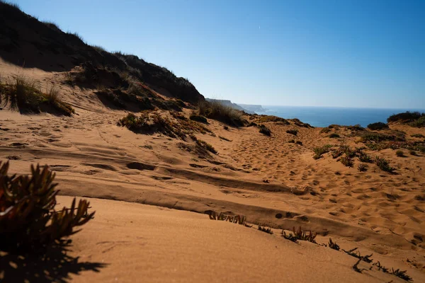 Schöner Blick Auf Die Meeresküste Und Wüste — Stockfoto
