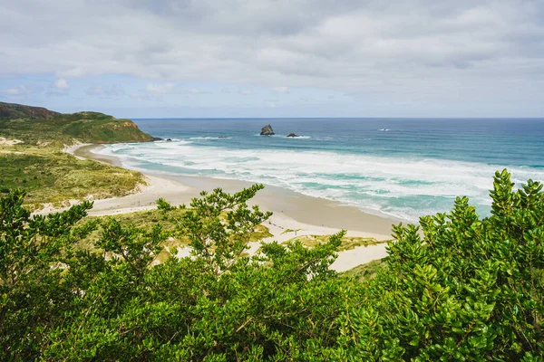 Bella Spiaggia Con Alberi Verdi Cielo Blu — Foto Stock