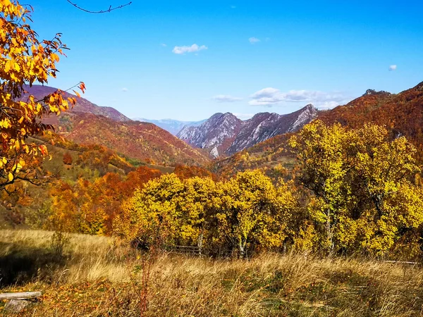 Prachtig Herfstlandschap Met Bomen Bergen — Stockfoto