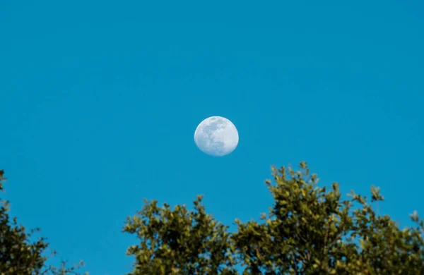 Luna Cielo — Foto de Stock