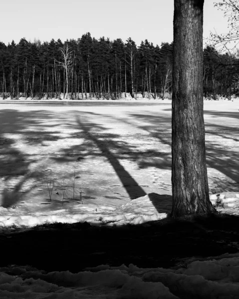 Beautiful View Frozen Lake Park — Stock Photo, Image