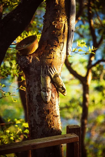 Pássaro Senta Galho Árvore — Fotografia de Stock