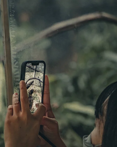 Женщина Помощью Мобильного Телефона Лесу — стоковое фото