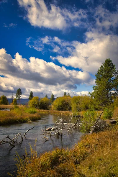 Podzimní Krajina Lesní Řeka Vodě — Stock fotografie