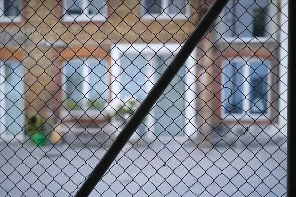 檻の中の犬 — ストック写真